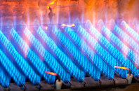Dartington gas fired boilers